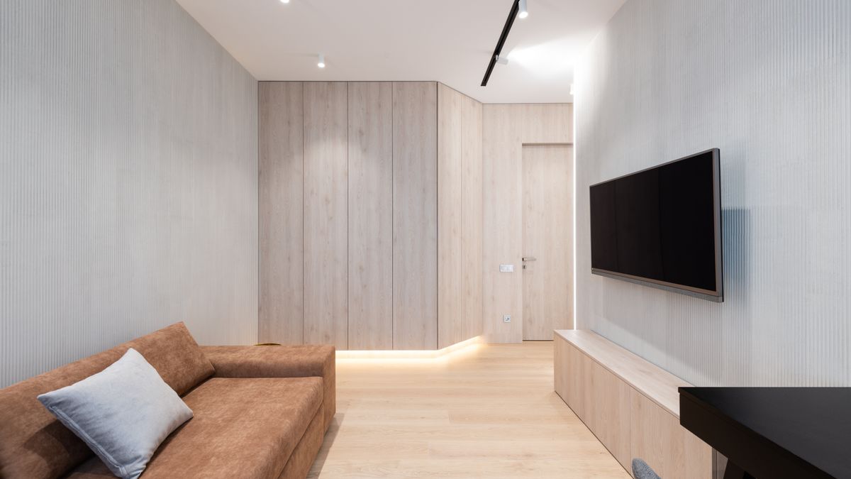 Interior of modern living room with sofa with pillow and TV on wall next to table